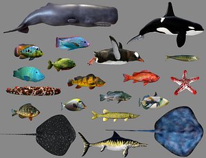 Low poly Fish Collection Animated - Game Ready Pack 3