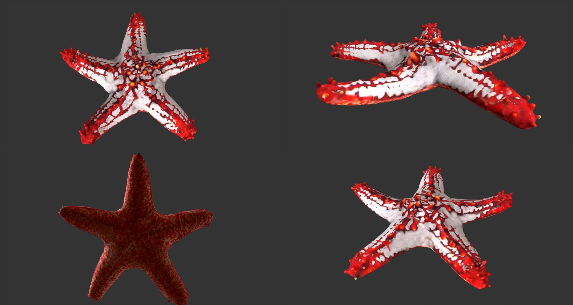 fish - ready pack 3 3D https://p.turbosquid.com/ts-thumb/7O/KLoEIk/y7pjoE6m/7/jpg/1530180208/1920x1080/fit_q87/565458280c268b5f19079ae28b17950f5c39e2ad/7.jpg