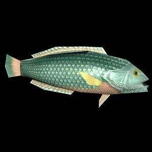 fish blitzmaker 3d 3ds