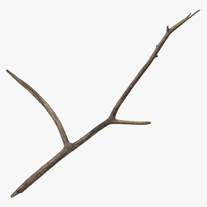 Broken Branch 03 3D