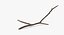 Broken Branch 03