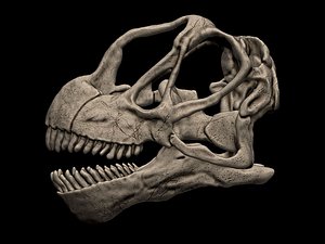 3D Camarasaurus Skull 3D print model