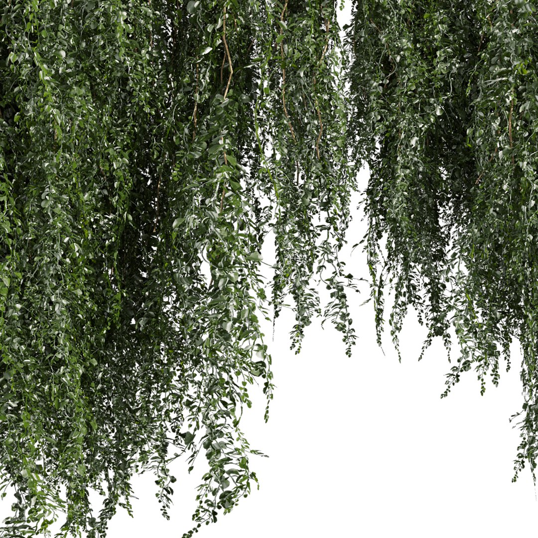 plant vol 981 - ivy - creeper - leaf 3D model https://p.turbosquid.com/ts-thumb/7O/jswQ06/9f/5/jpg/1786819292/1920x1080/fit_q87/be6967636898f95262d3b5a3dfb5ba1806d1ad5f/5.jpg