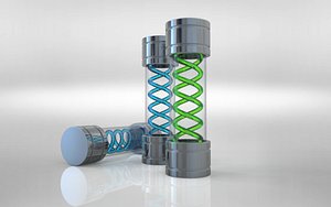 3D t virus model
