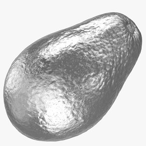 3D avocado hass 03 silver