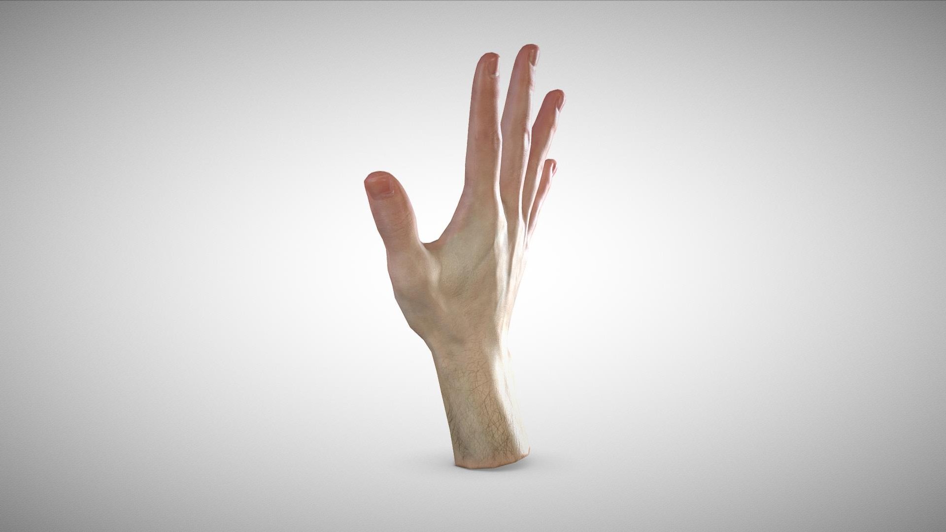 Scan Hand 3D Model - TurboSquid 1379311