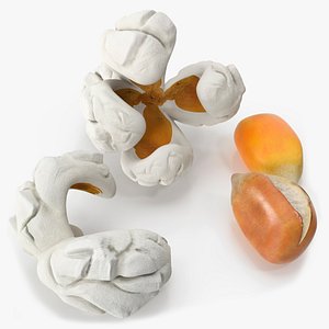 Popcorn Stages Set Food with Unpopped Kernel 3D model