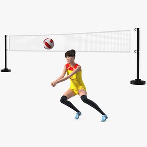 Chinese Woman Player with Volleyball Net Collection 3D model