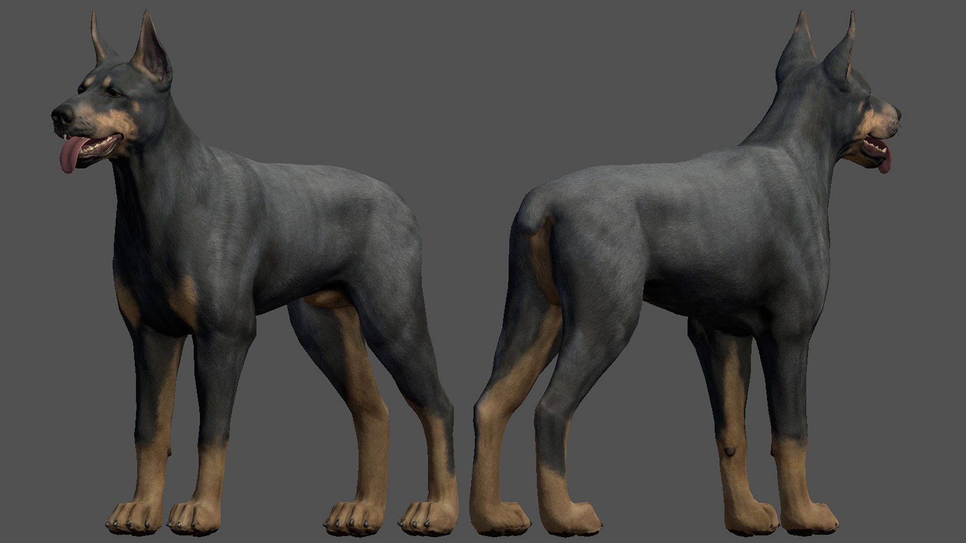 Dog - Doberman model - TurboSquid 1933631