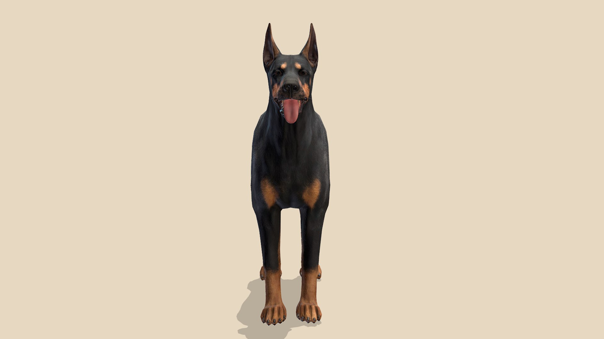 Dog - Doberman model - TurboSquid 1933631