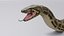 Burmese Python - Rigged 3D model