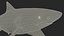 Tiburón limón de dientes afilados preparado para Cinema 4D