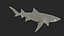 Tiburón limón de dientes afilados preparado para Cinema 4D