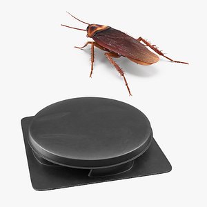 3D Cockroach with Bait Collection model