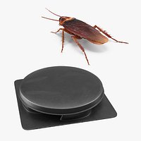 Cockroach with Bait Collection