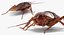 Cockroach with Bait Collection