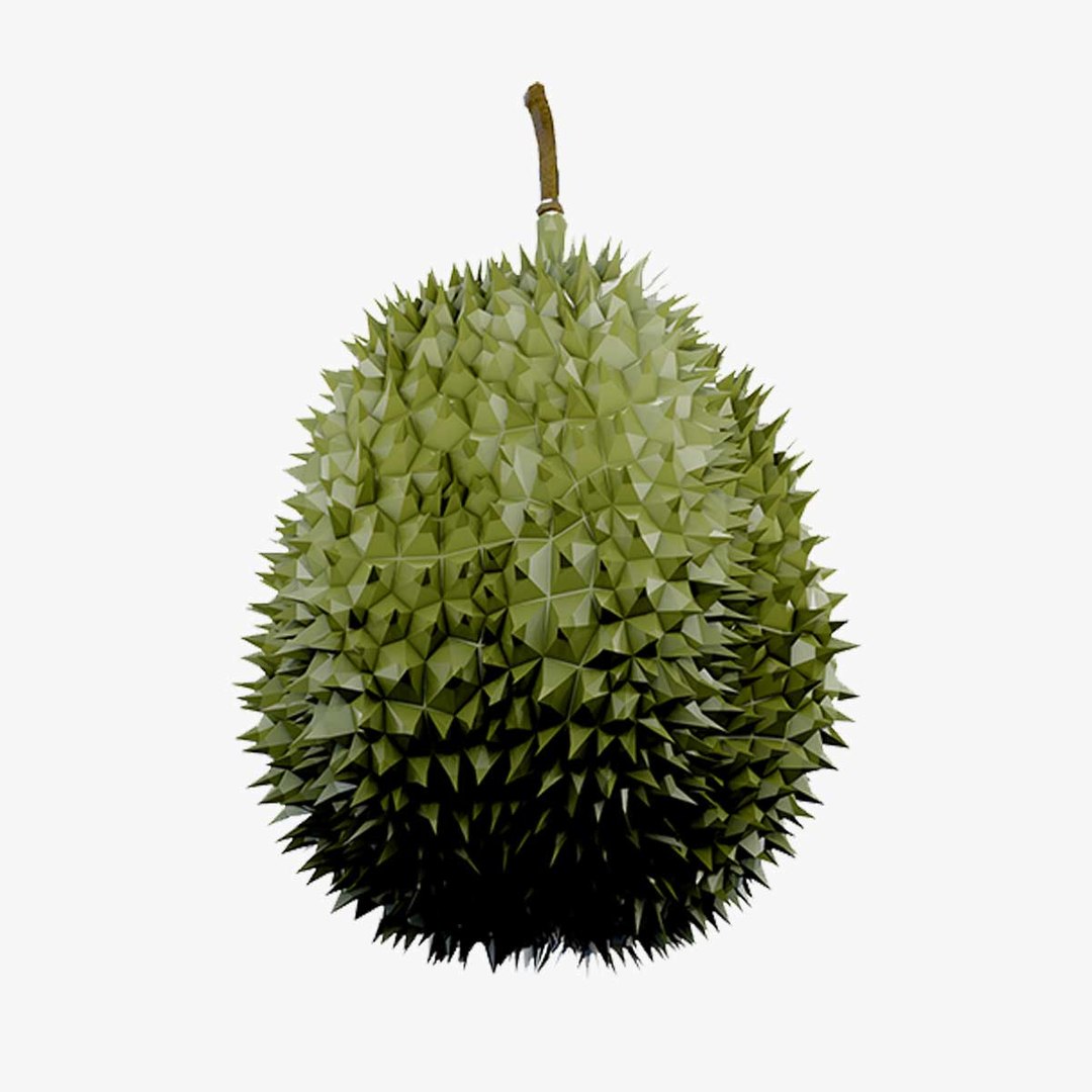 3D model Durian Tree 3D model https://p.turbosquid.com/ts-thumb/7P/qHOj4R/4C/1200x1200/jpg/1723535239/1920x1080/fit_q87/124955dcefaac899505452d44584ad4622ac51f5/1200x1200.jpg