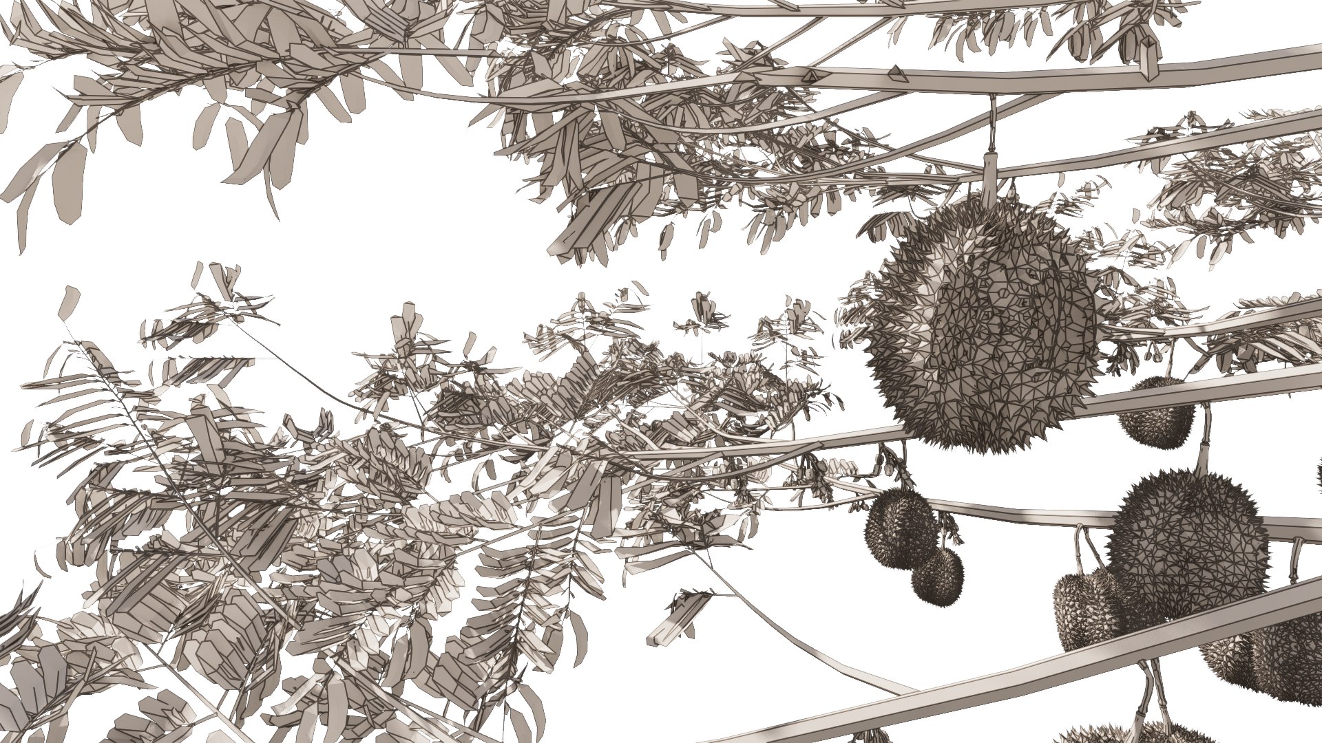 3D model Durian Tree 3D model https://p.turbosquid.com/ts-thumb/7P/qHOj4R/8A/20230829131327/png/1693289798/1920x1080/fit_q87/ae552b11f6948c8cab8ec1bd2aa165db9ec926d3/20230829131327.jpg