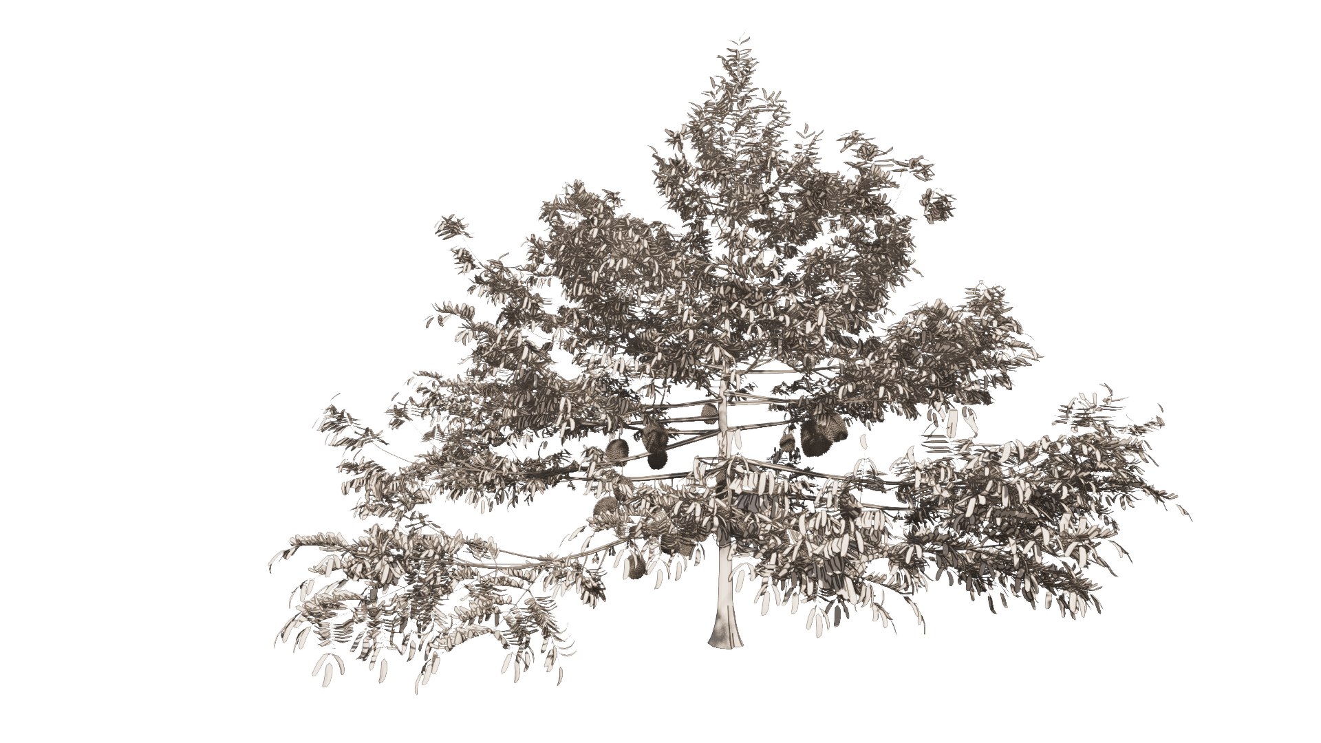 3D model Durian Tree 3D model https://p.turbosquid.com/ts-thumb/7P/qHOj4R/Da/20230829131300/png/1693289799/1920x1080/fit_q87/c283311f063813463e822b10caebf9cc82556481/20230829131300.jpg