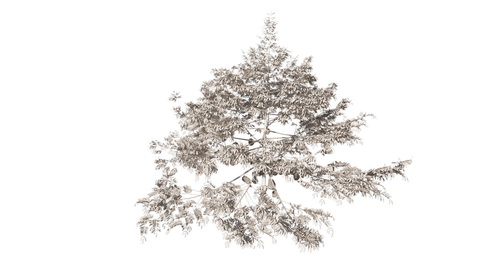 3D model Durian Tree 3D model https://p.turbosquid.com/ts-thumb/7P/qHOj4R/Jv/20230829131445/png/1693289803/1920x1080/fit_q87/47717c9bbf390fc275509dee7cb6549164cdf991/20230829131445.jpg