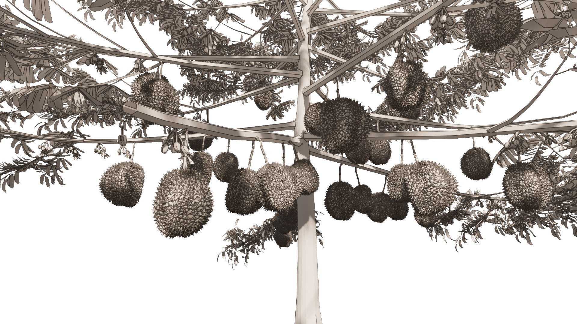3D model Durian Tree 3D model https://p.turbosquid.com/ts-thumb/7P/qHOj4R/K2/20230829131349/png/1693289801/1920x1080/fit_q87/fe6dd9e70322e2598ff4faf27d583f561d0b2452/20230829131349.jpg