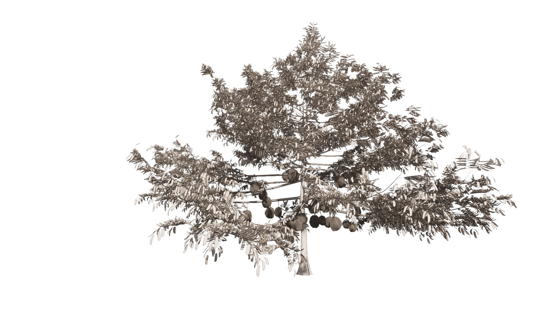 3D model Durian Tree 3D model https://p.turbosquid.com/ts-thumb/7P/qHOj4R/bE/20230829131431/png/1693289801/1920x1080/fit_q87/d8c2b54a2a62b9a49d2a8f97ab6294064f053cd3/20230829131431.jpg