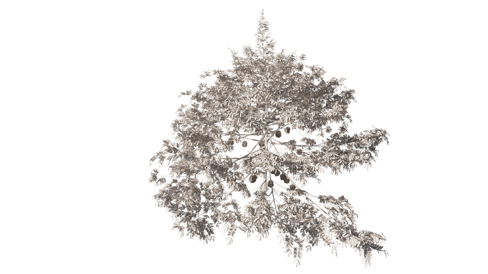 3D model Durian Tree 3D model https://p.turbosquid.com/ts-thumb/7P/qHOj4R/lM/20230829131314/png/1693289799/1920x1080/fit_q87/8e68b2c3e9da9e219aa27e1f9a52a5ea87f1f9bc/20230829131314.jpg