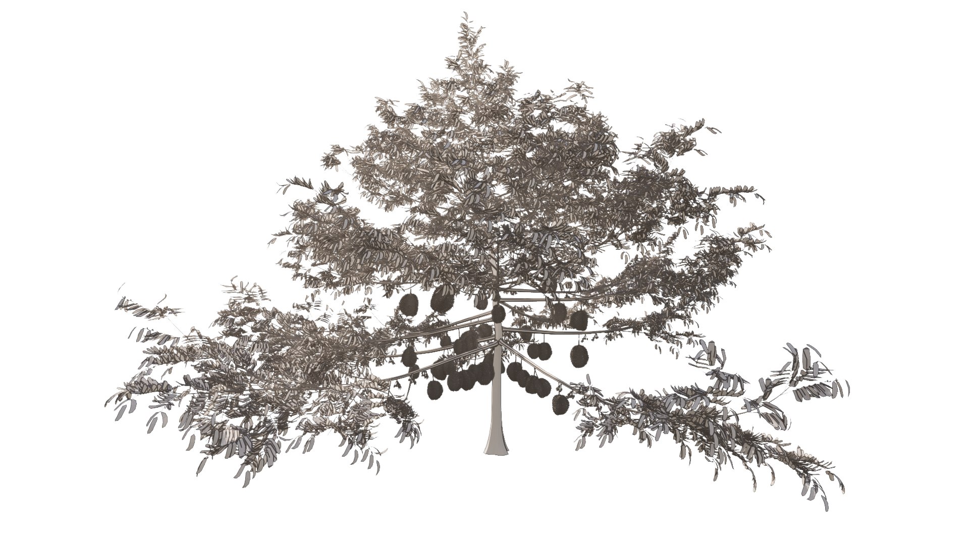 3D model Durian Tree 3D model https://p.turbosquid.com/ts-thumb/7P/qHOj4R/uK/enscape_29131409/png/1693289804/1920x1080/fit_q87/8f4b2aeb30815e8bce6eb56f1f78267df5044af8/enscape_29131409.jpg