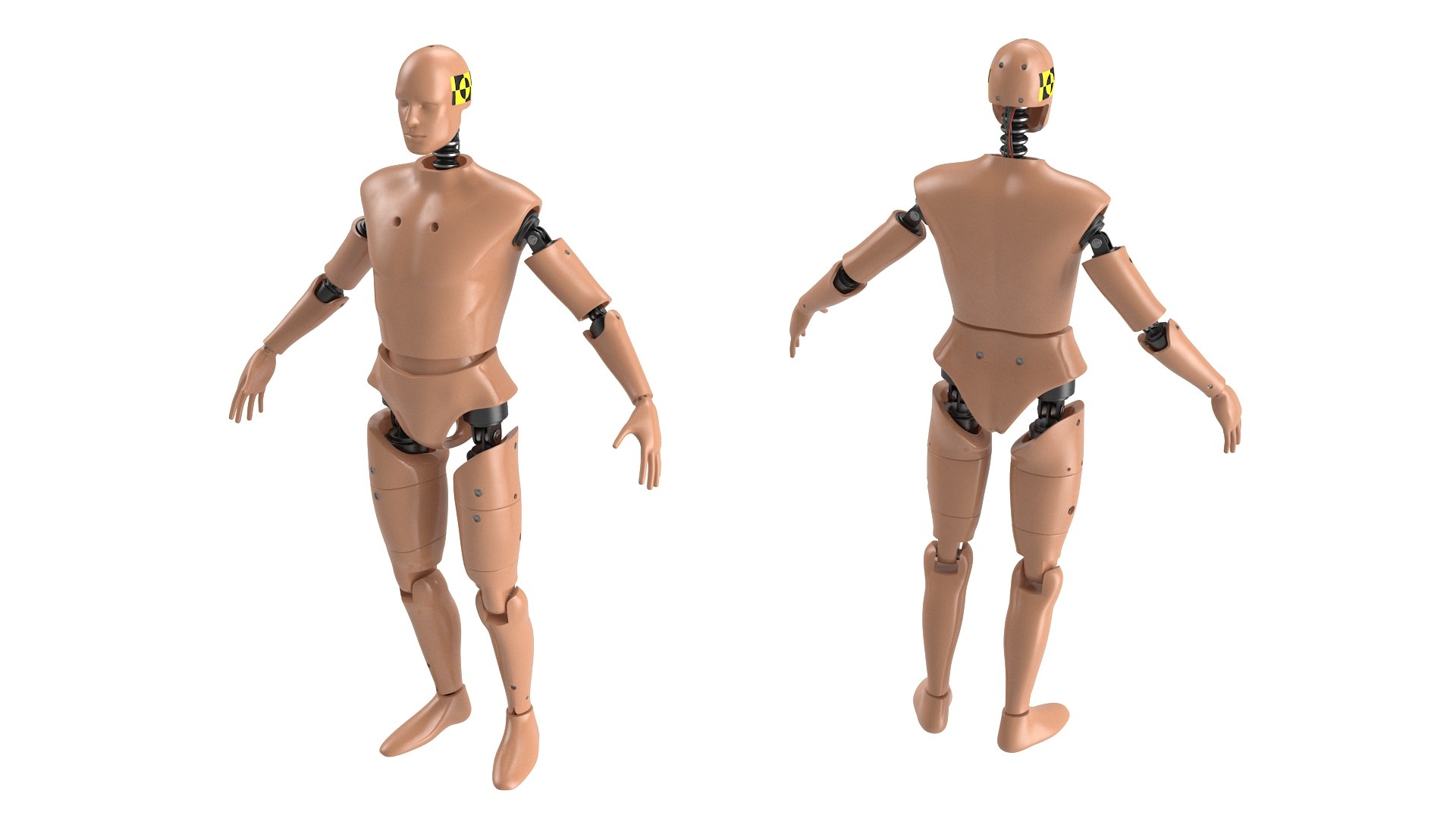 Humanoid Crash Test Dummy Rigged 3D model https://p.turbosquid.com/ts-thumb/7P/rT0SMo/1y/humanoidcrashtestdummyriggedmb3dmodel007/jpg/1722523275/1920x1080/fit_q87/0534886eb9404f9125ecc0a0c8d3d061452b1c4a/humanoidcrashtestdummyriggedmb3dmodel007.jpg