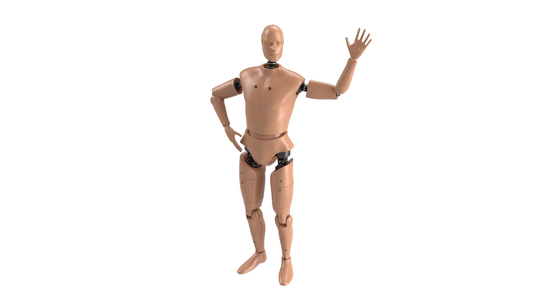 Humanoid Crash Test Dummy Rigged 3D model https://p.turbosquid.com/ts-thumb/7P/rT0SMo/wc/humanoidcrashtestdummyriggedmb3dmodel008/jpg/1722523281/1920x1080/fit_q87/00c4667c6f2acb26fb736e5667559ccf58e5b236/humanoidcrashtestdummyriggedmb3dmodel008.jpg