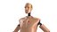 Humanoid Crash Test Dummy Rigged