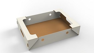 Cardboard Retail Display Tray for Product Packaging Merchandise 3D model