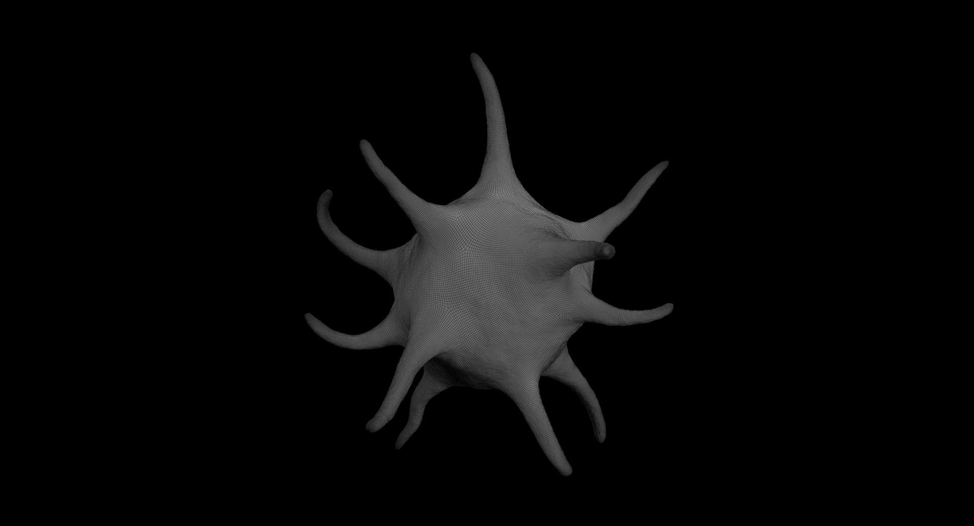 platelet thrombocyte 1 3D model https://p.turbosquid.com/ts-thumb/7P/vpN9T9/SfWurIVc/360w/jpg/1554890319/1920x1080/turn_fit_q99/6a31cae90ca9a0a08f63ec697a336d7a7039408c/360w-1.jpg