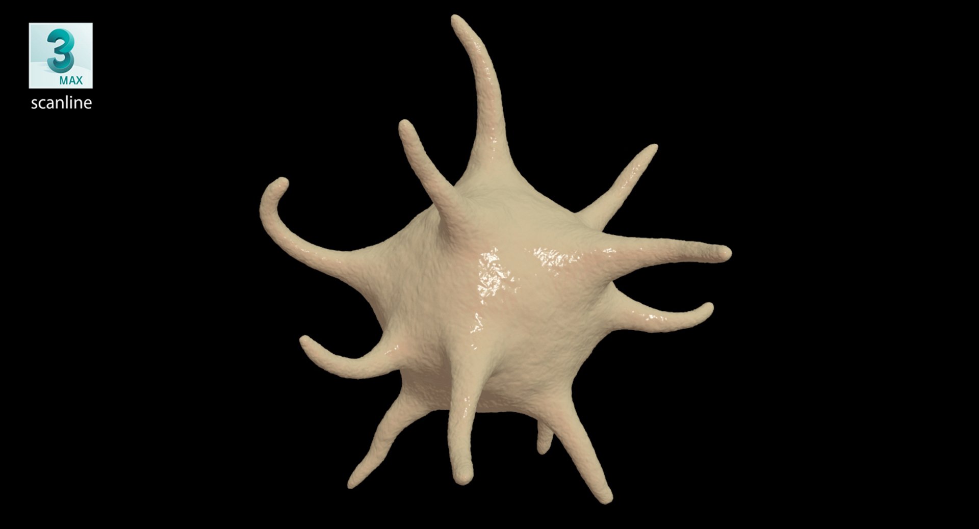 platelet thrombocyte 1 3D model https://p.turbosquid.com/ts-thumb/7P/vpN9T9/X7TjNPCI/scanline/jpg/1554890035/1920x1080/fit_q87/81078d085aad9e49daaa998a023096e98764dbb4/scanline.jpg