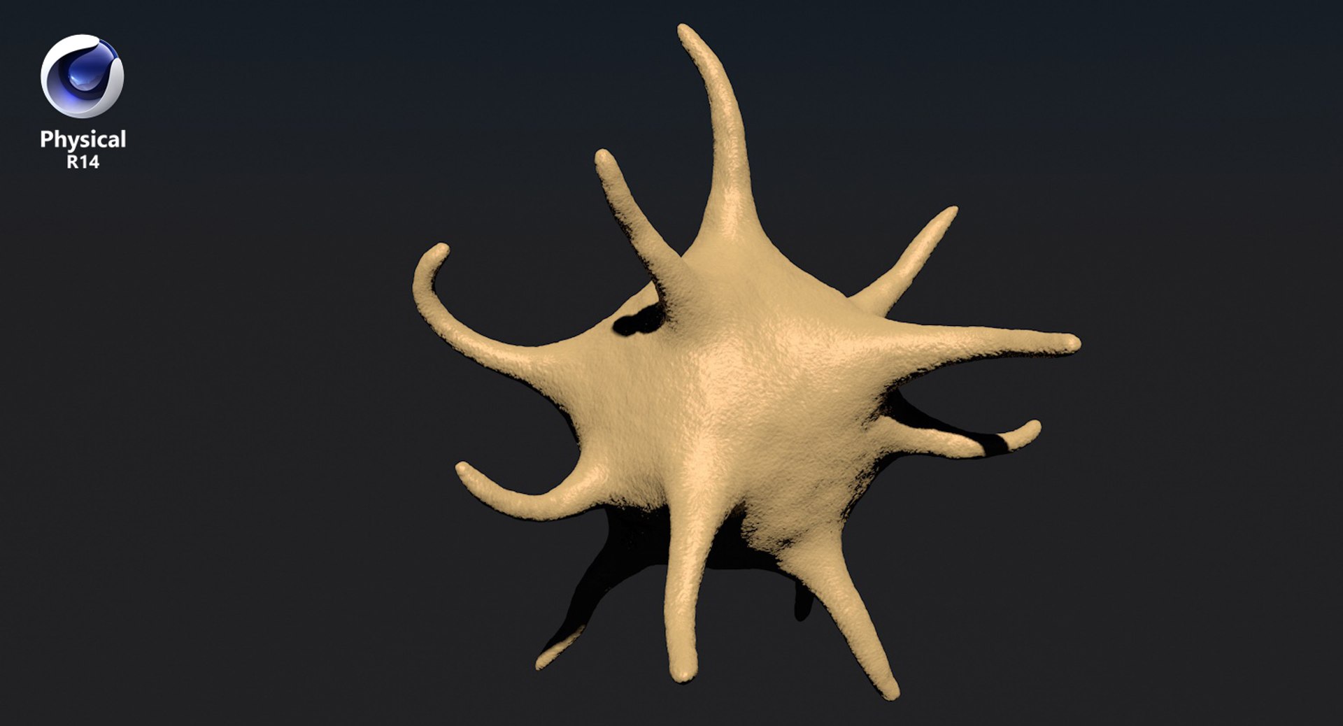 platelet thrombocyte 1 3D model https://p.turbosquid.com/ts-thumb/7P/vpN9T9/Z5gmzbFD/c4d_r14/jpg/1554890062/1920x1080/fit_q87/6147873431f6dd1183978e5df129951fd887b359/c4d_r14.jpg