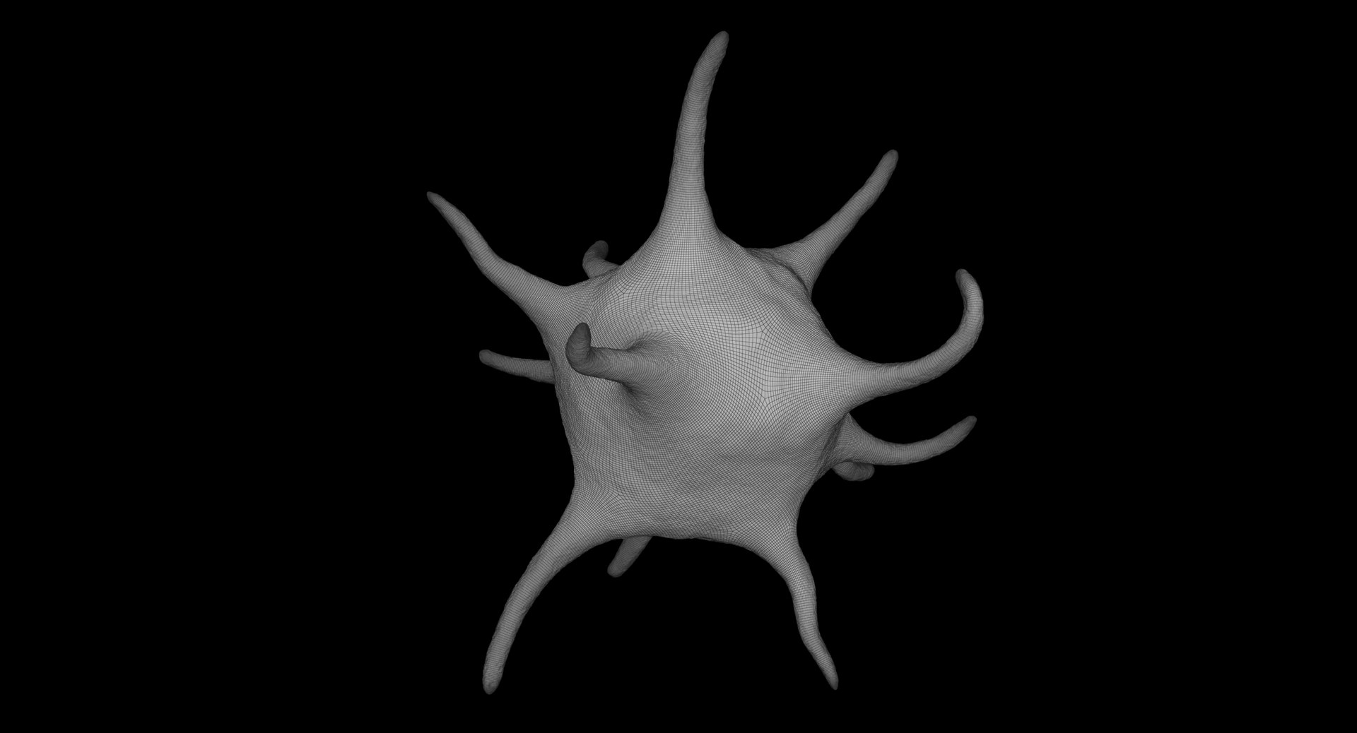 platelet thrombocyte 1 3D model https://p.turbosquid.com/ts-thumb/7P/vpN9T9/mGtXSaLq/cam_02_it00/jpg/1554890390/1920x1080/fit_q87/b6dd87cfbaf5843dc1bdb76d9cd0eeb2e58441d7/cam_02_it00.jpg