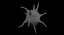Platelet Thrombocyte 1