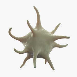 Platelet Thrombocyte 1