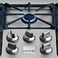 Professional Gas Cooktop with Fish Burner