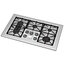 Professional Gas Cooktop with Fish Burner