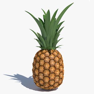 pineapple pine apple max