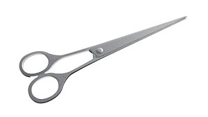 3D model Surgical Scissors 3D Model
