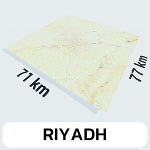 Riyadh Saudi Arabia City Landscape 3D Model