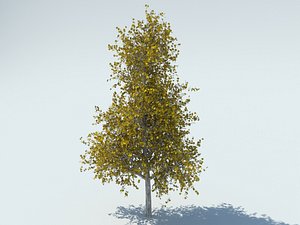 realistic aspen tree max