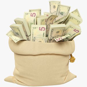 3D Money Bag V15