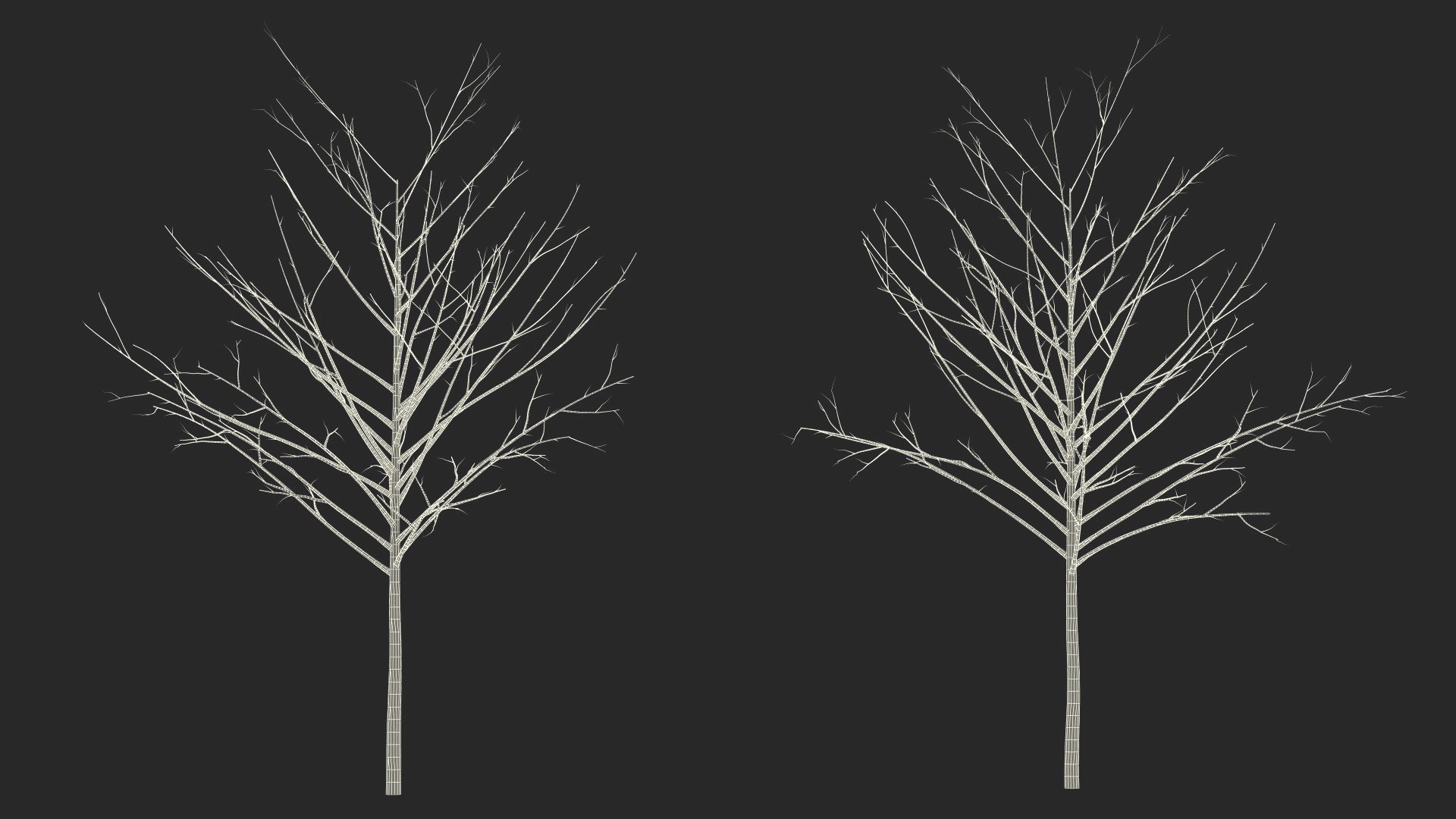Young Tree Red Maple Collection 3D https://p.turbosquid.com/ts-thumb/7Q/gr1vNJ/JI/young_tree_red_maple_collection_006/jpg/1775222786/1920x1080/fit_q87/a21192aef92ccf488ab7e057169f712d8bcd6bac/young_tree_red_maple_collection_006.jpg