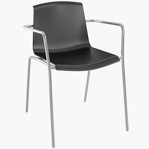 realistic piiroinen - model