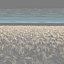 p3d wool carpet V2