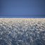 p3d wool carpet V2
