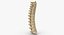 Huesos de la columna vertebral humana real Anatomía del cráneo y la mandíbula con discos intervertibrales 01